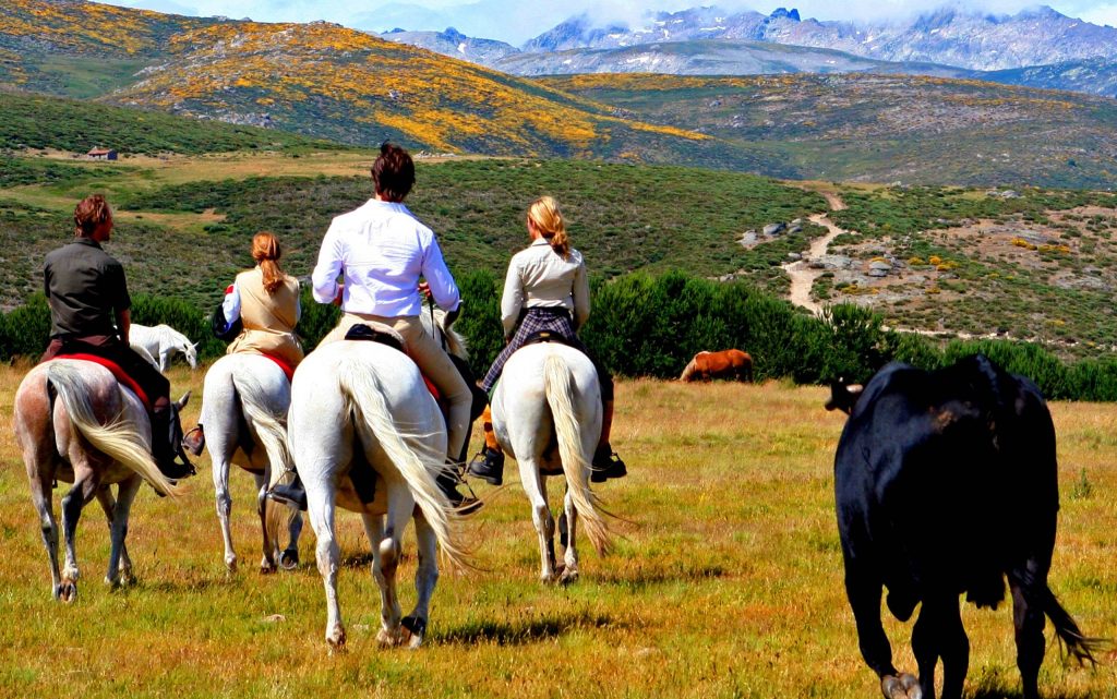 <p>Amazing ride through magnificent landscapes and remote rural villages, unspoilt mountains and river valleys: Gredos, one of the best kept secrets of Spain.</p>

