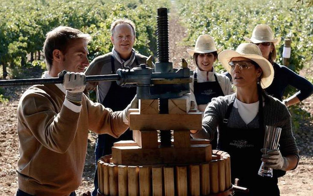 <p>Produce your own wine in a prestigious winery of the award-winning region of the Ribera del Duero.</p>
